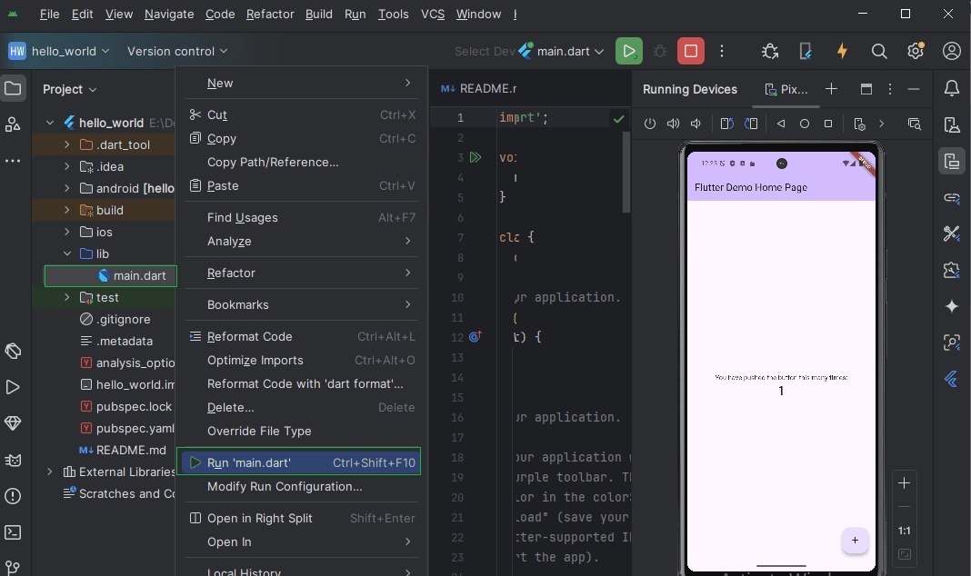 Run the flutter project (main.dart file).