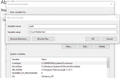 System variable path