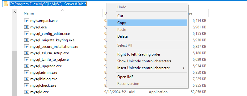 mysql installation path
