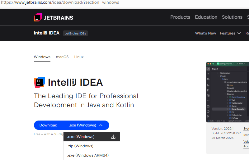 IntelliJ download